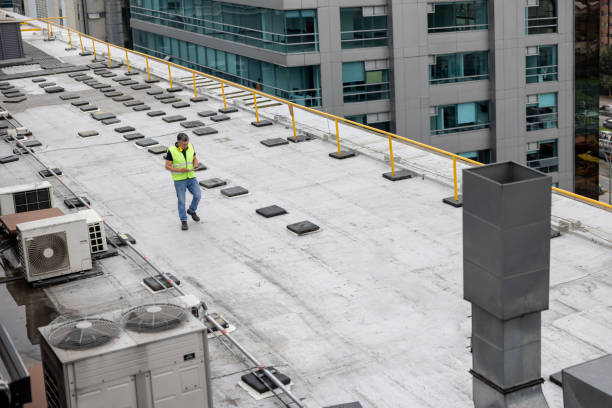 Best Storm Damage Roof Repair  in Carthage, IL